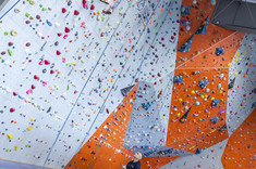 Targi Pracy NETWORKPOWER,